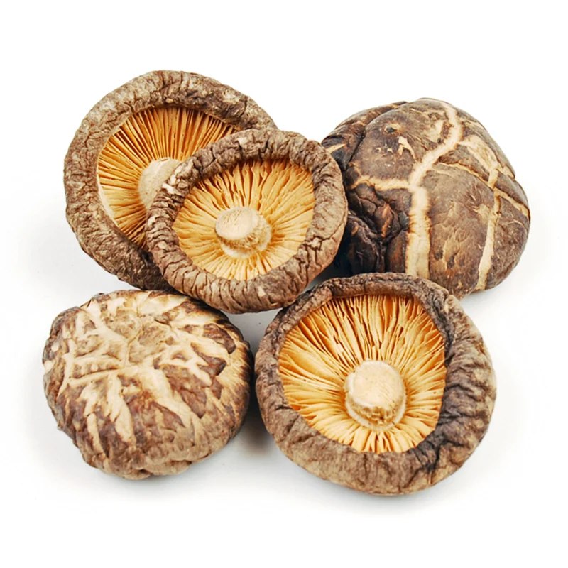 Las Vegas Magic Mushrooms