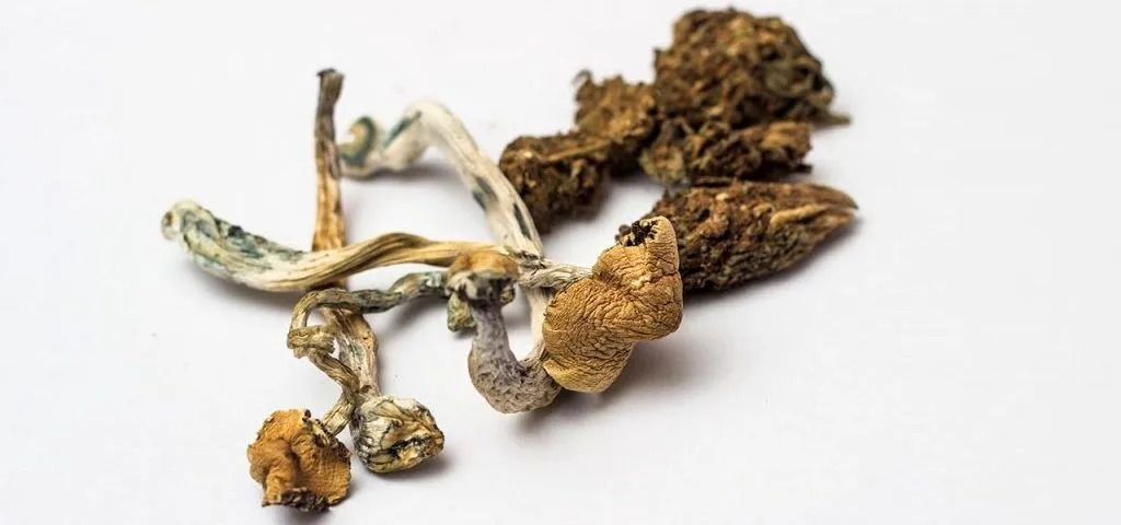 Buy Magic Mushrooms Online