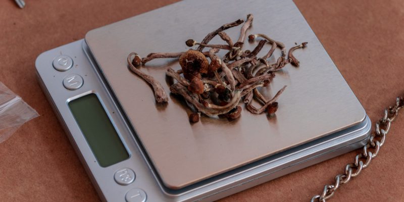 magic mushrooms for sale​